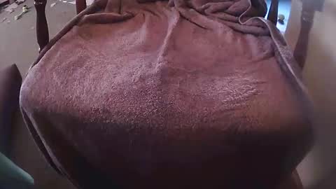 rarvet online show from March 6, 8:24 am