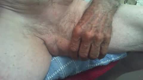 rattcatt online show from January 8, 12:33 pm