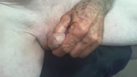 rattcatt online show from December 2, 12:47 pm