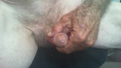 rattcatt online show from November 23, 10:57 am