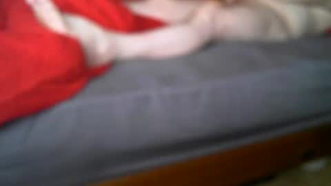 raymondo1964 online show from October 31, 12:00 am