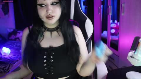 My kittensIm on vacation until July 25th. You can join the fan club  free content  online show from April 13, 6:34 pm