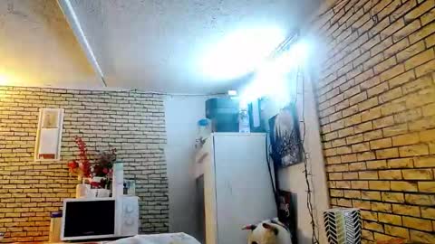 real_coupl3 online show from January 12, 9:11 pm