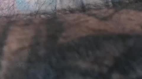 realrubpirate online show from April 29, 8:08 am