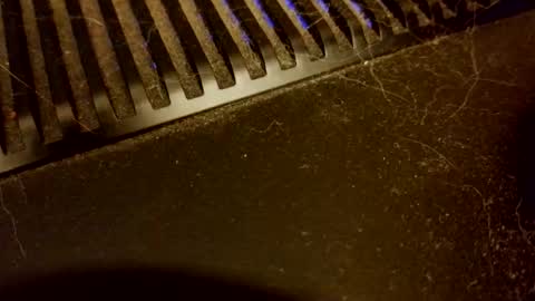 red_sea_bear online show from December 4, 4:12 am