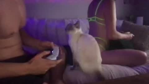 reinablack online show from August 3, 2:46 am