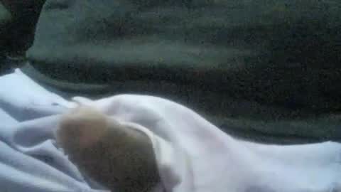 ricardo160291 online show from January 6, 1:09 am