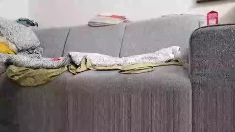 Zenek online show from February 2, 1:55 am