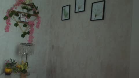 robin D online show from February 2, 1:07 pm