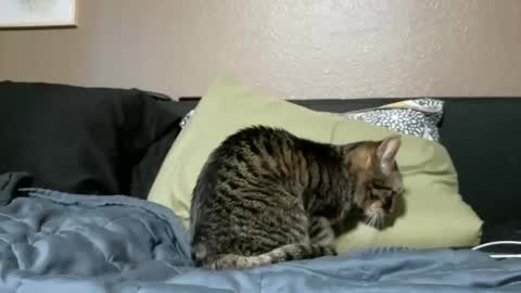 RoccoRoman online show from January 12, 6:59 pm