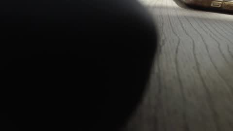 rocky muscle online show from December 20, 3:13 am