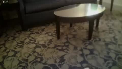 ronin098 online show from April 23, 12:29 pm