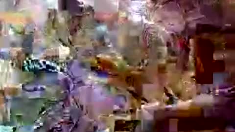 roop_sexy642 online show from June 21, 7:04 am