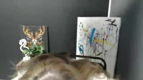 Rosalina online show from May 24, 12:56 pm