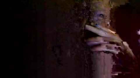 rotorranch online show from October 2, 6:34 am