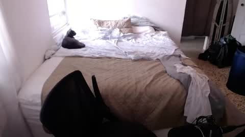 rx7900xtx online show from April 16, 8:09 pm