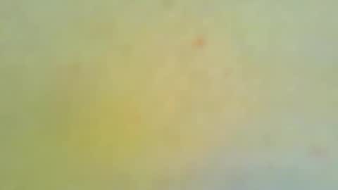 ryder868 online show from February 16, 1:42 pm