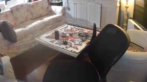 s3xyboy79 online show from January 15, 6:50 pm