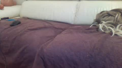 sabrinatravsexy online show from June 27, 7:42 pm