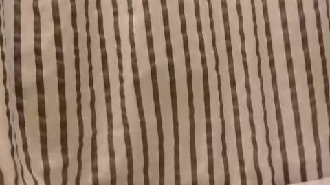 Snapshot of sacalaschichiss chatting on October 29, 1:13 pm Dee online show from October 29, 1:13 pm