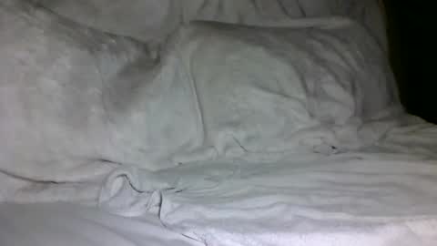 SD17 online show from February 5, 1:44 pm