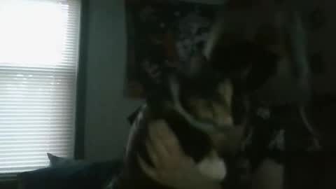 Salem Veil online show from March 1, 11:20 pm