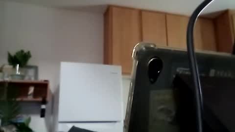 salis1981 online show from October 14, 11:08 pm