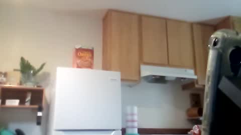 salis1981 online show from November 26, 6:15 pm