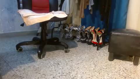 samanta online show from February 3, 11:14 am