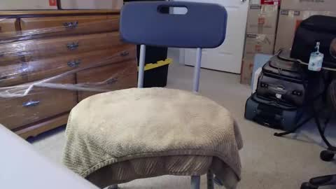 Sammy online show from February 10, 2:20 pm