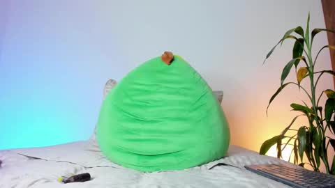     online show from November 14, 8:27 am