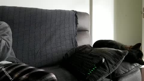 saulcontigo online show from January 28, 10:23 am