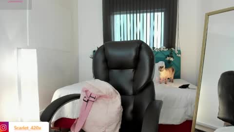 Scarlett online show from May 18, 12:00 pm