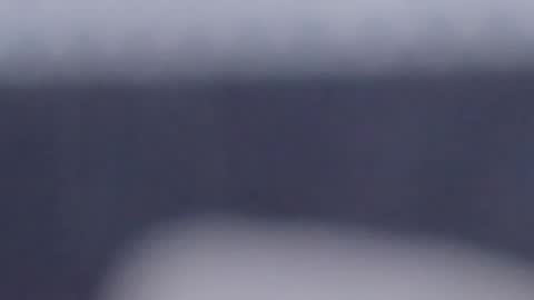 Scarlett online show from February 7, 4:03 pm