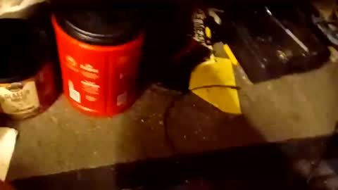 scruples99273286 online show from October 5, 8:34 am