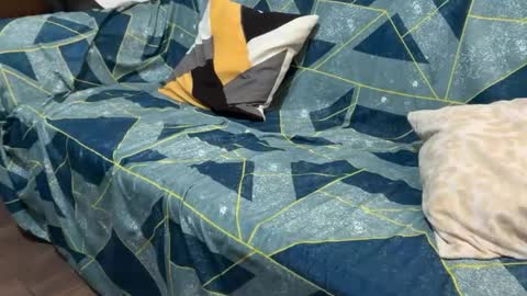 angel online show from December 20, 1:12 am