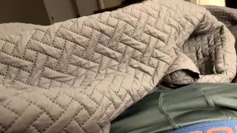 secretlyseductive9399 online show from December 8, 1:14 pm