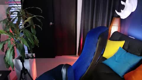 sed online show from March 5, 11:17 am