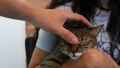 senssual_goddess online show from July 10, 10:47 pm