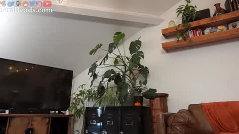 SeraReads online show from November 15, 9:33 am