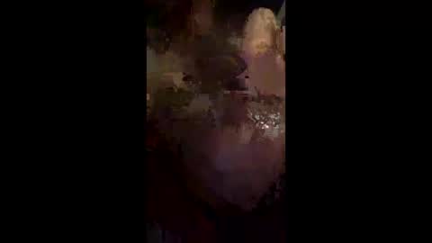 sexfun8 online show from January 12, 2:29 am