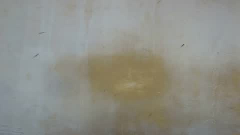 sexy_candy9 online show from November 11, 9:44 am