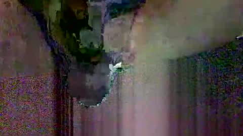 sexyben111 online show from February 9, 12:31 pm