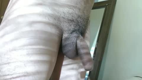 Daniel online show from November 11, 5:15 pm