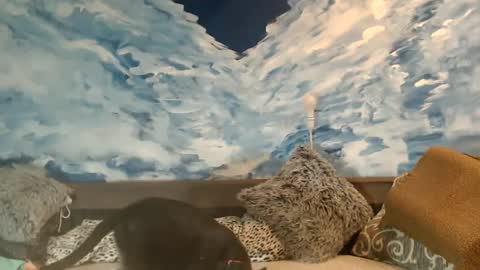 ENI pvt moan your name  WHEN I M NOT online you tell me in SNAPCHAT deal yes add me...  FREE TWITTER magiconline101...... online show from February 22, 11:46 pm