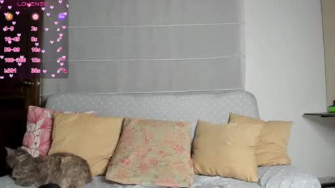 Shadi online show from December 3, 1:03 am