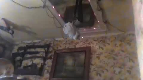 shanelle9270 online show from September 14, 1:52 am