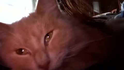 shanelle9270 online show from November 17, 9:50 pm