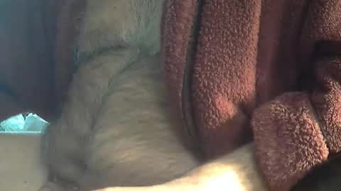 Sharkey644 online show from March 18, 4:02 pm