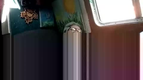 Shamroc online show from April 21, 9:44 pm